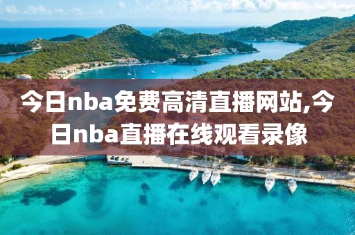 今日nba免费高清直播网站,今日nba直播在线观看录像