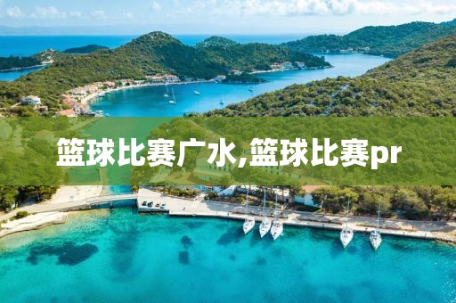 篮球比赛广水,篮球比赛pr