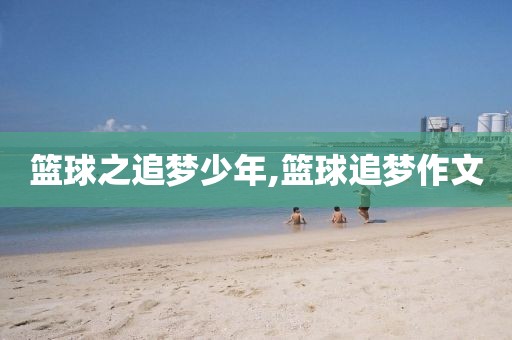 篮球之追梦少年,篮球追梦作文