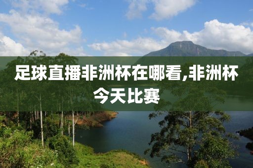 足球直播非洲杯在哪看,非洲杯今天比赛