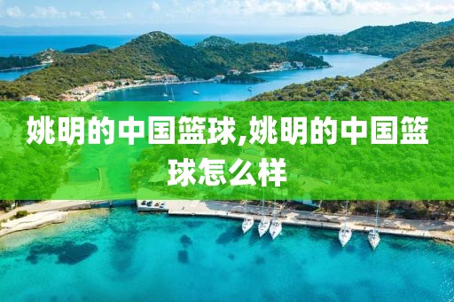 姚明的中国篮球,姚明的中国篮球怎么样