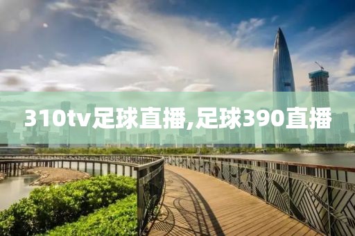 310tv足球直播,足球390直播