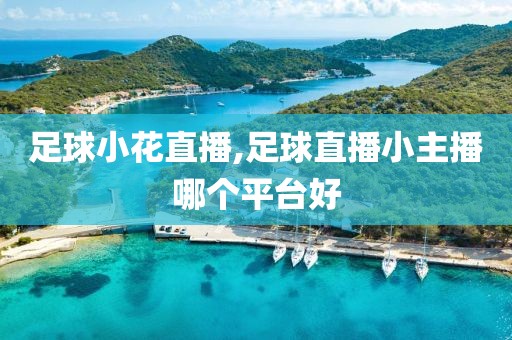 足球小花直播,足球直播小主播哪个平台好