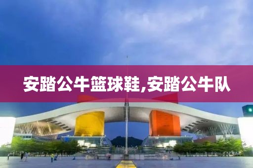 安踏公牛篮球鞋,安踏公牛队