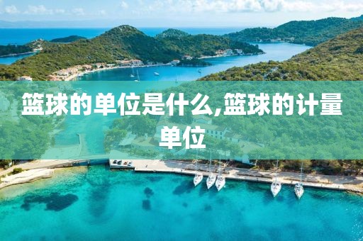 篮球的单位是什么,篮球的计量单位