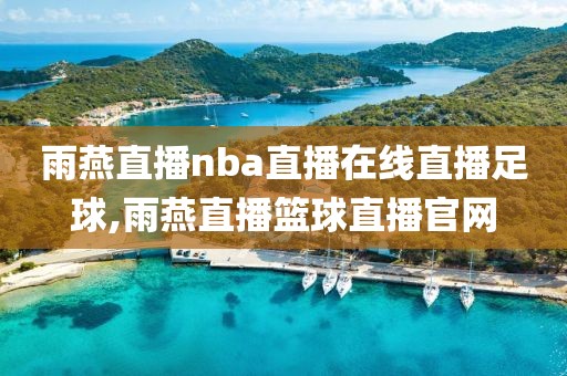 雨燕直播nba直播在线直播足球,雨燕直播篮球直播官网