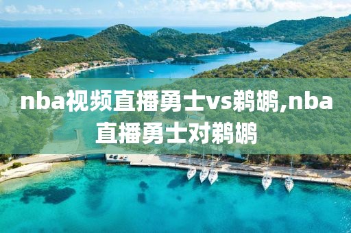 nba视频直播勇士vs鹈鹕,nba直播勇士对鹈鹕