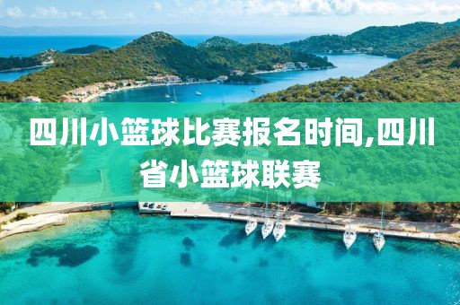 四川小篮球比赛报名时间,四川省小篮球联赛