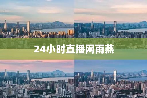 24小时直播网雨燕