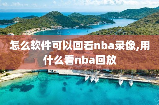 怎么软件可以回看nba录像,用什么看nba回放