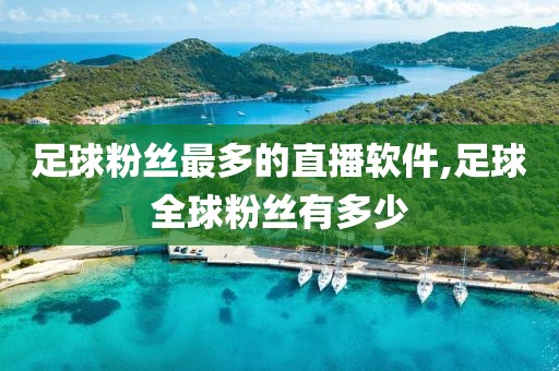 足球粉丝最多的直播软件,足球全球粉丝有多少