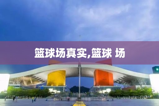 篮球场真实,篮球 场