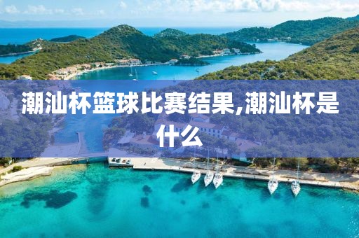 潮汕杯篮球比赛结果,潮汕杯是什么