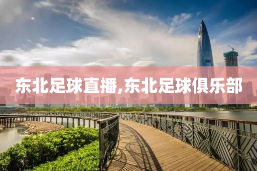 东北足球直播,东北足球俱乐部