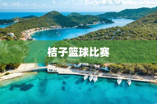 桔子篮球比赛