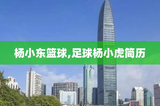 杨小东篮球,足球杨小虎简历