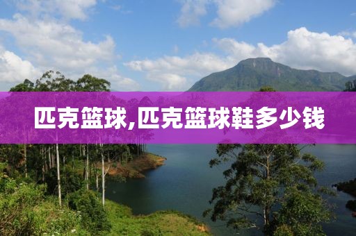 匹克篮球,匹克篮球鞋多少钱