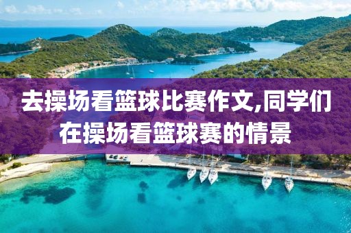 去操场看篮球比赛作文,同学们在操场看篮球赛的情景