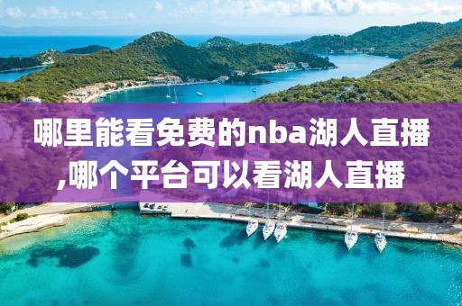 哪里能看免费的nba湖人直播,哪个平台可以看湖人直播