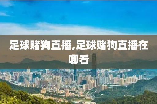 足球赌狗直播,足球赌狗直播在哪看