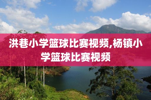 洪巷小学篮球比赛视频,杨镇小学篮球比赛视频