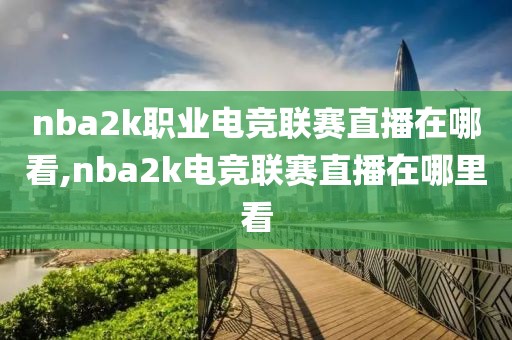 nba2k职业电竞联赛直播在哪看,nba2k电竞联赛直播在哪里看
