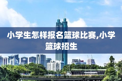 小学生怎样报名篮球比赛,小学篮球招生