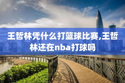 王哲林凭什么打篮球比赛,王哲林还在nba打球吗