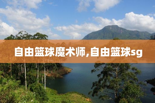 自由篮球魔术师,自由篮球sg