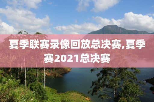 夏季联赛录像回放总决赛,夏季赛2021总决赛