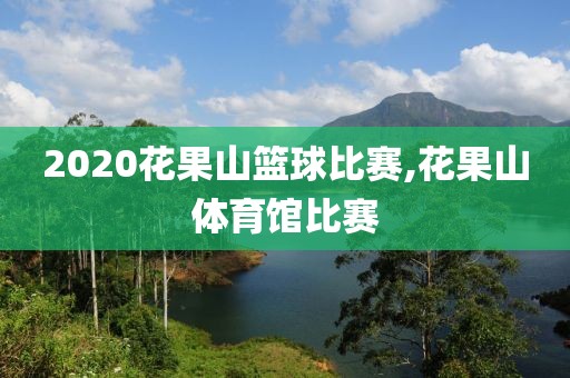 2020花果山篮球比赛,花果山体育馆比赛