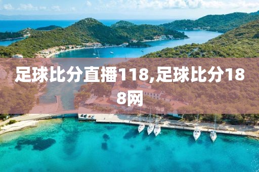 足球比分直播118,足球比分188网