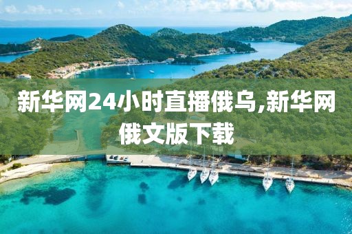 新华网24小时直播俄乌,新华网俄文版下载