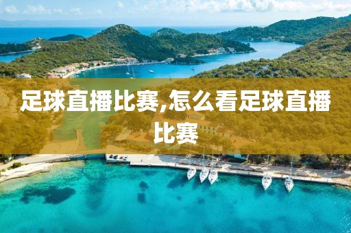 足球直播比赛,怎么看足球直播比赛