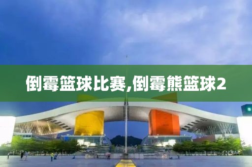 倒霉篮球比赛,倒霉熊篮球2